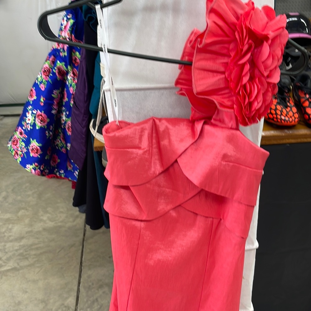 Metallic coral dress